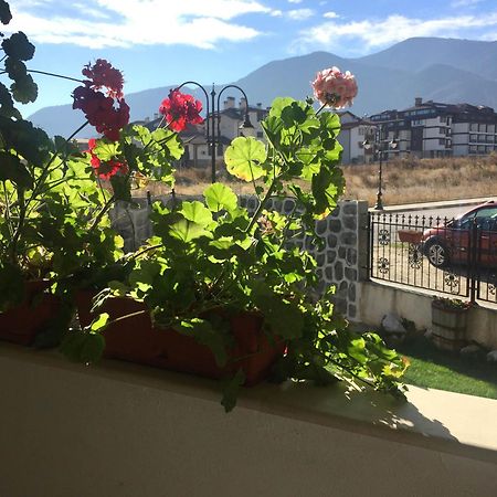 Skiing, Walking, Enjoying in mountains Bansko Bagian luar foto