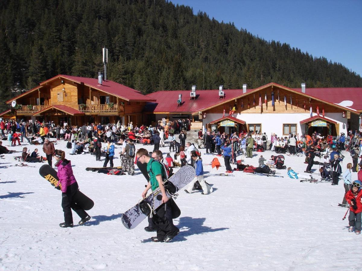 Skiing, Walking, Enjoying in mountains Bansko Bagian luar foto