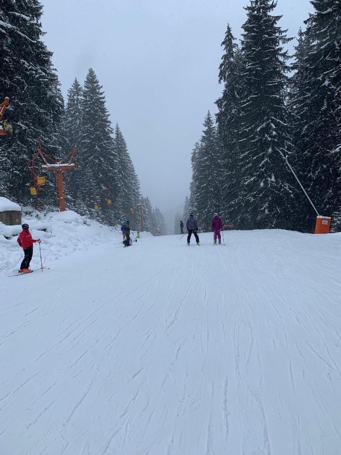 Skiing, Walking, Enjoying in mountains Bansko Bagian luar foto