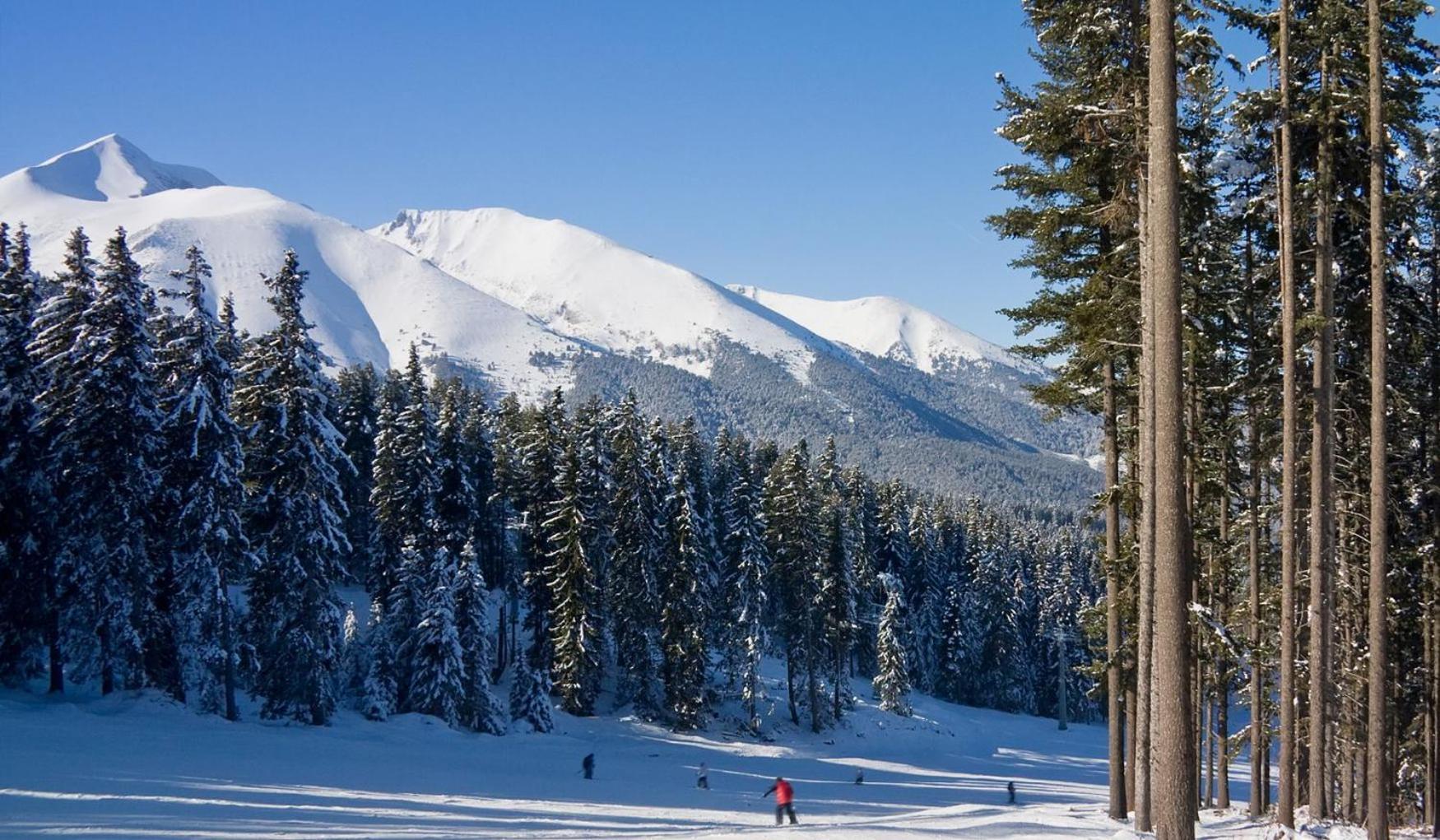 Skiing, Walking, Enjoying in mountains Bansko Bagian luar foto
