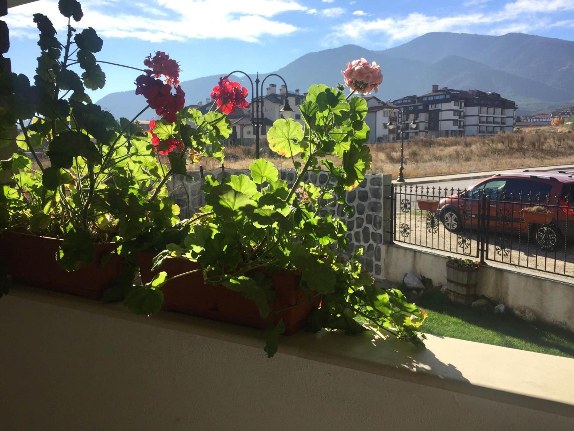 Skiing, Walking, Enjoying in mountains Bansko Bagian luar foto