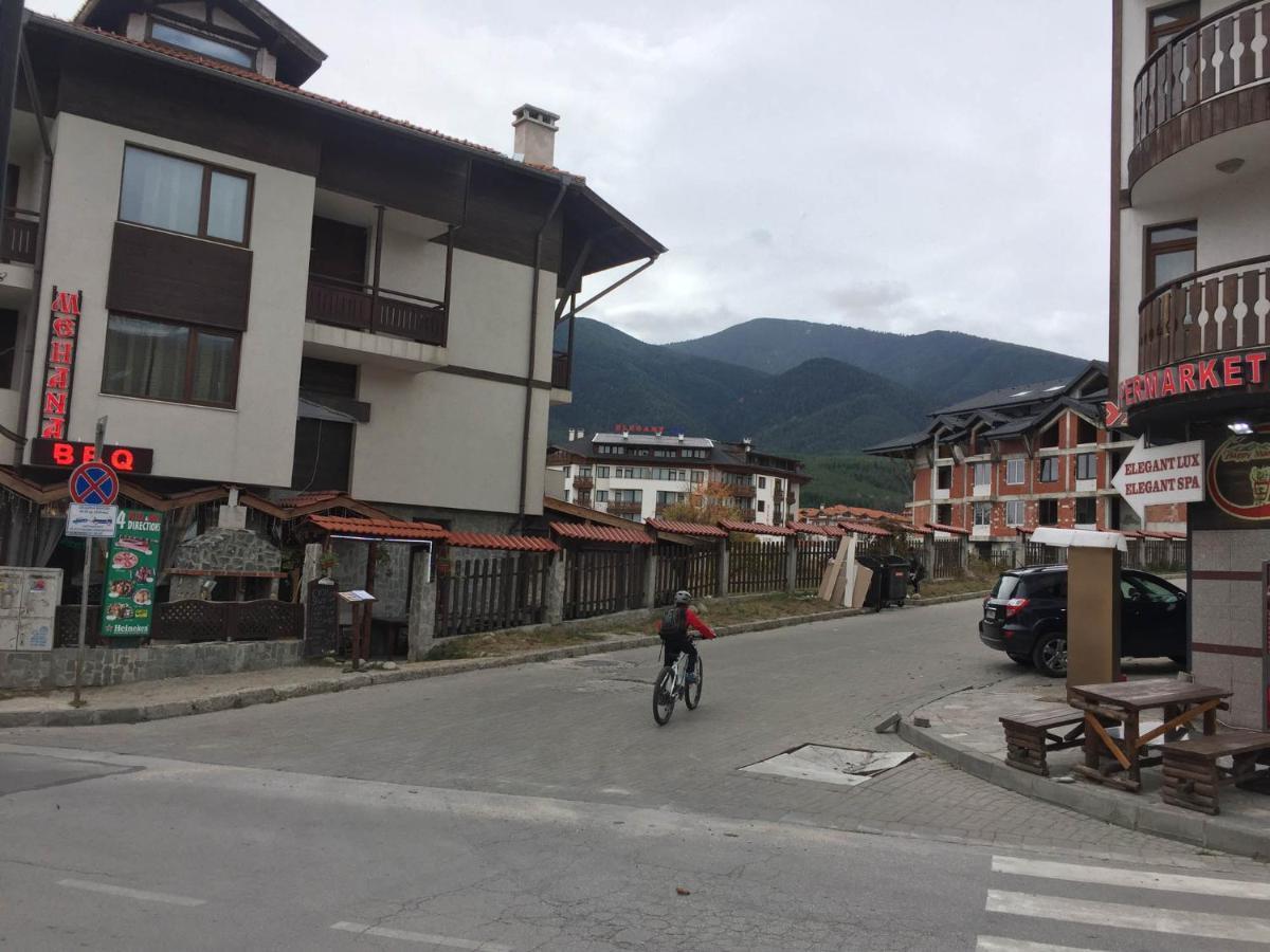 Skiing, Walking, Enjoying in mountains Bansko Bagian luar foto