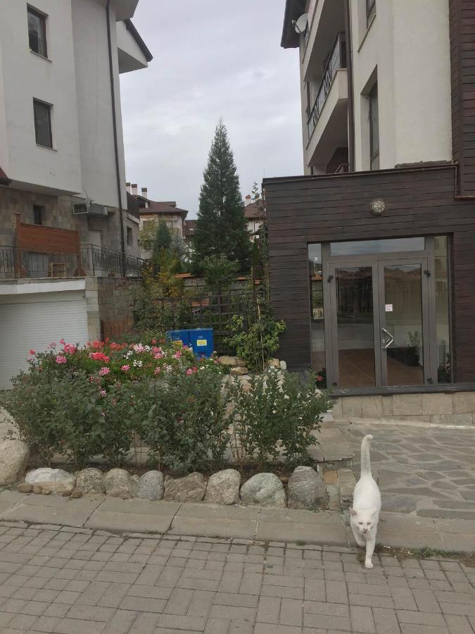 Skiing, Walking, Enjoying in mountains Bansko Bagian luar foto