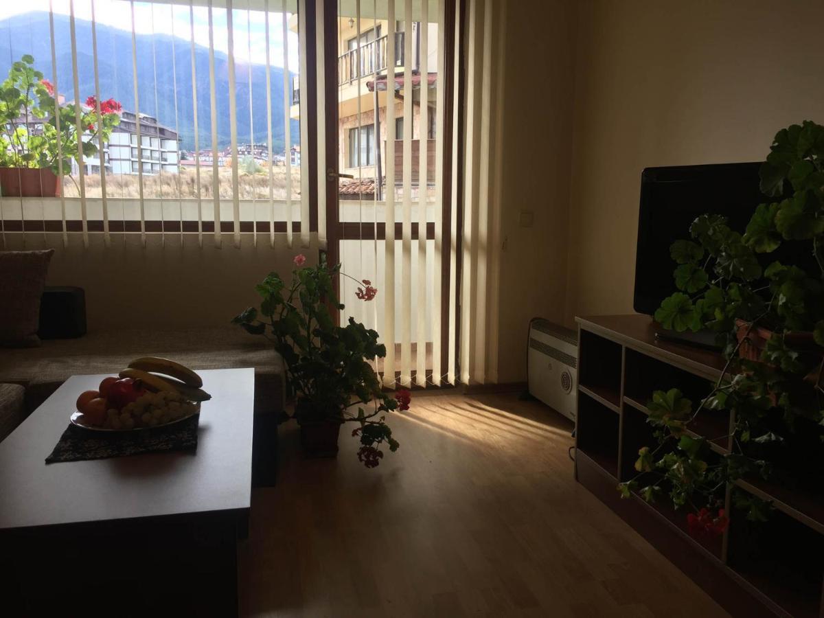 Skiing, Walking, Enjoying in mountains Bansko Bagian luar foto